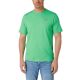 GUESS | T-shirt girocollo logo palma beach | Colore verde felce